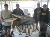 (07/28/2014) - Nice Striped Bass